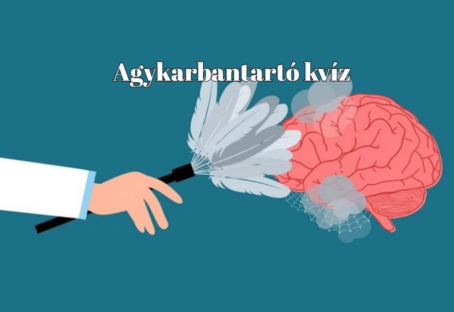 Agykarbantartó kvíz - Teszteld tudásod most és célozd meg a 8 helyes választ!