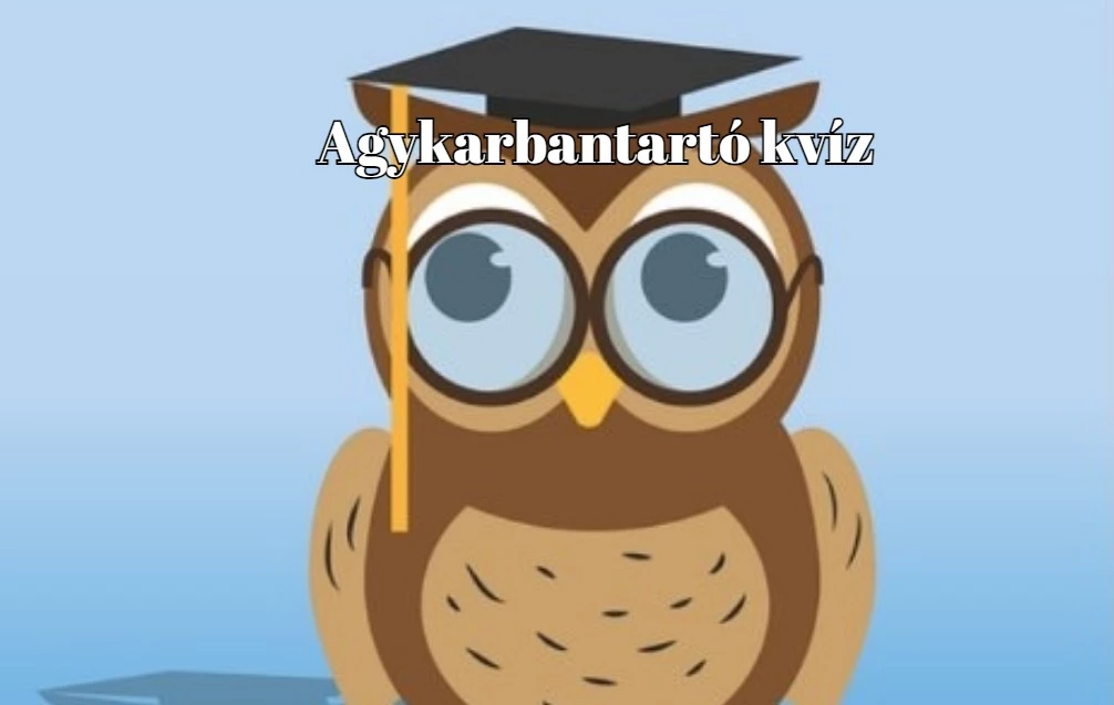 Ez a napi kvíz 50%-kal javítja az agyad vérkeringését és jobb hangulatot eredményez