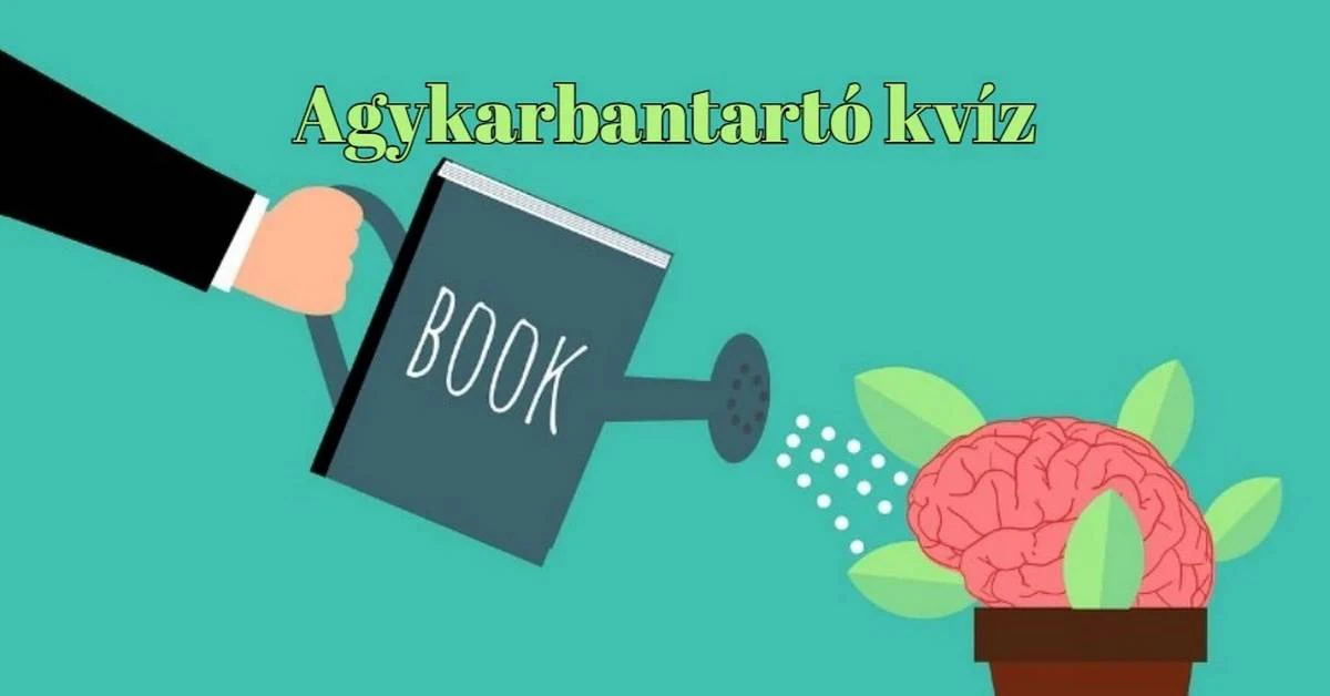 Válaszolj ezekre a napi kvízkérdésekre helyesen majd gyűjtsd be pontokat