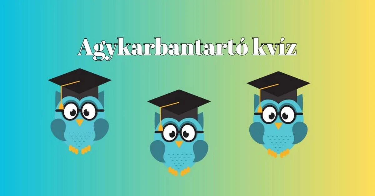 Napi kvíz - Kattints, és lubickolj te is a kvízek világában