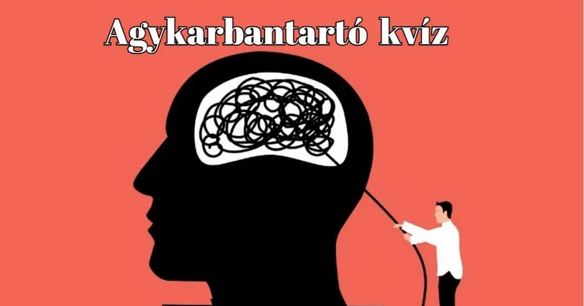 Neked ez a napi kvíz meg sem kottyan majd. Agykarbantartó érkezett