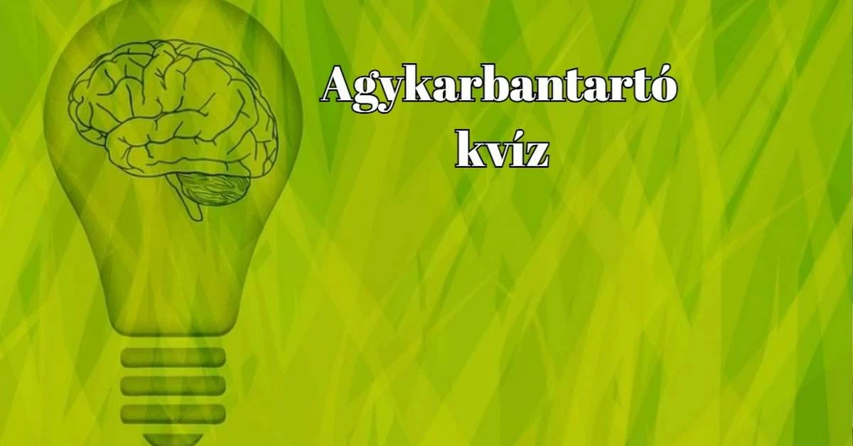 Betoppant a napi kvízek elit-alakulata, az agykarbantartó