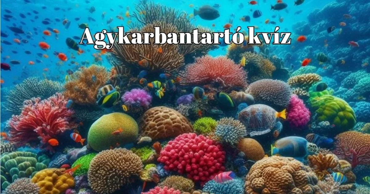 Napi kvíz - Az emberek többsége 5 választ tud helyesen ezekből az egyszerű kérdésekből