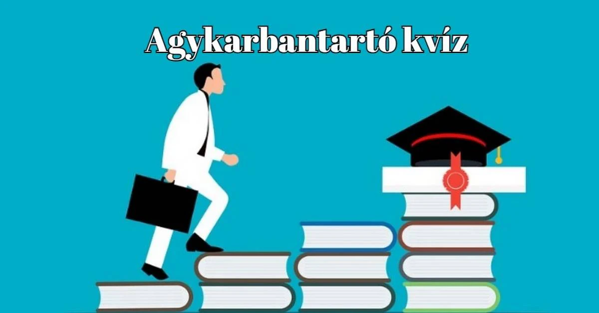 Ha szereted a kvízeket, akkor ezt sem szabad kihagynod! Agykarbantartó