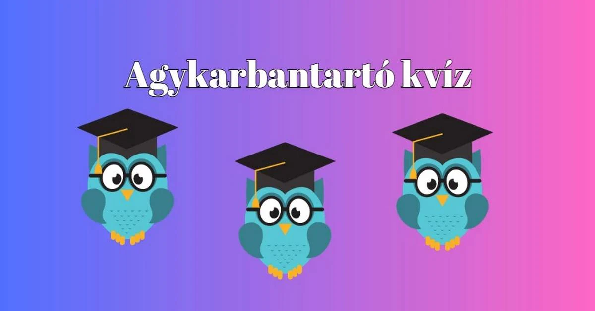 Agykarbantartó napi kvíz - Minden nap kell egy kis agytorna