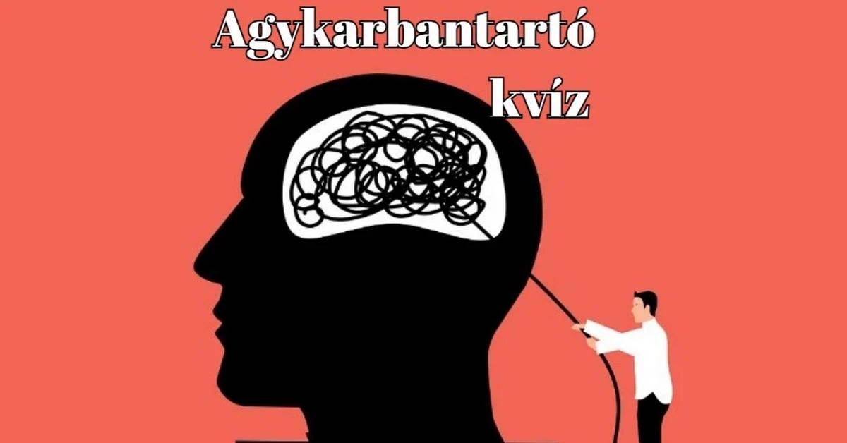 Agykarbantartó napi kvíz - Amit a legjobban szerettek
