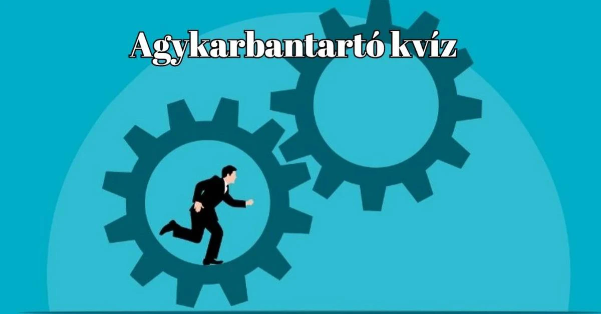 KVÍZ - A legtöbben legalább hét kérdésre helyesen válaszolnak – ugye, neked is megy?