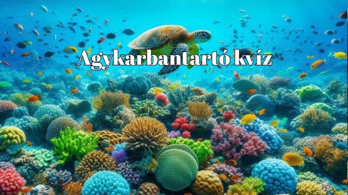 Mozgasd át egy kicsit az agyadat ezzel a friss napi kvízzel