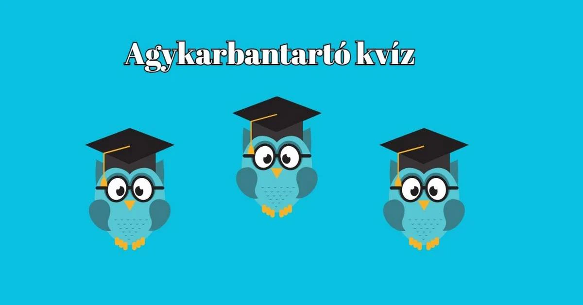 Nyolc szellemi tornagyakorlat következik - Agykarbantartó napi kvíz