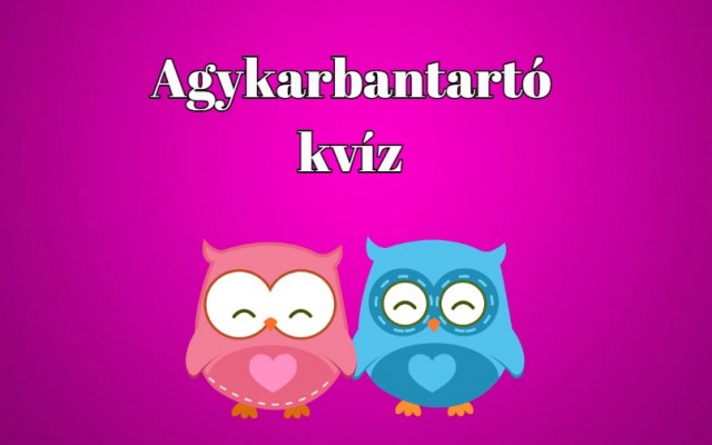 Agykarbantartó napi kvíz - Minden nap kell egy kis agytorna