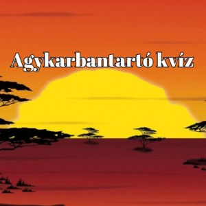 kvizek