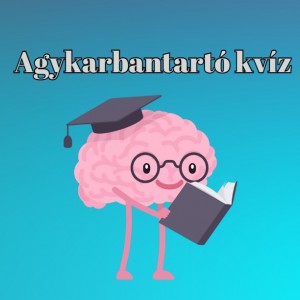 kvizek
