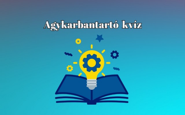 Ha azt mondom, napi kvíz, ti már tudjátok, mi következik - Zsenimágnes